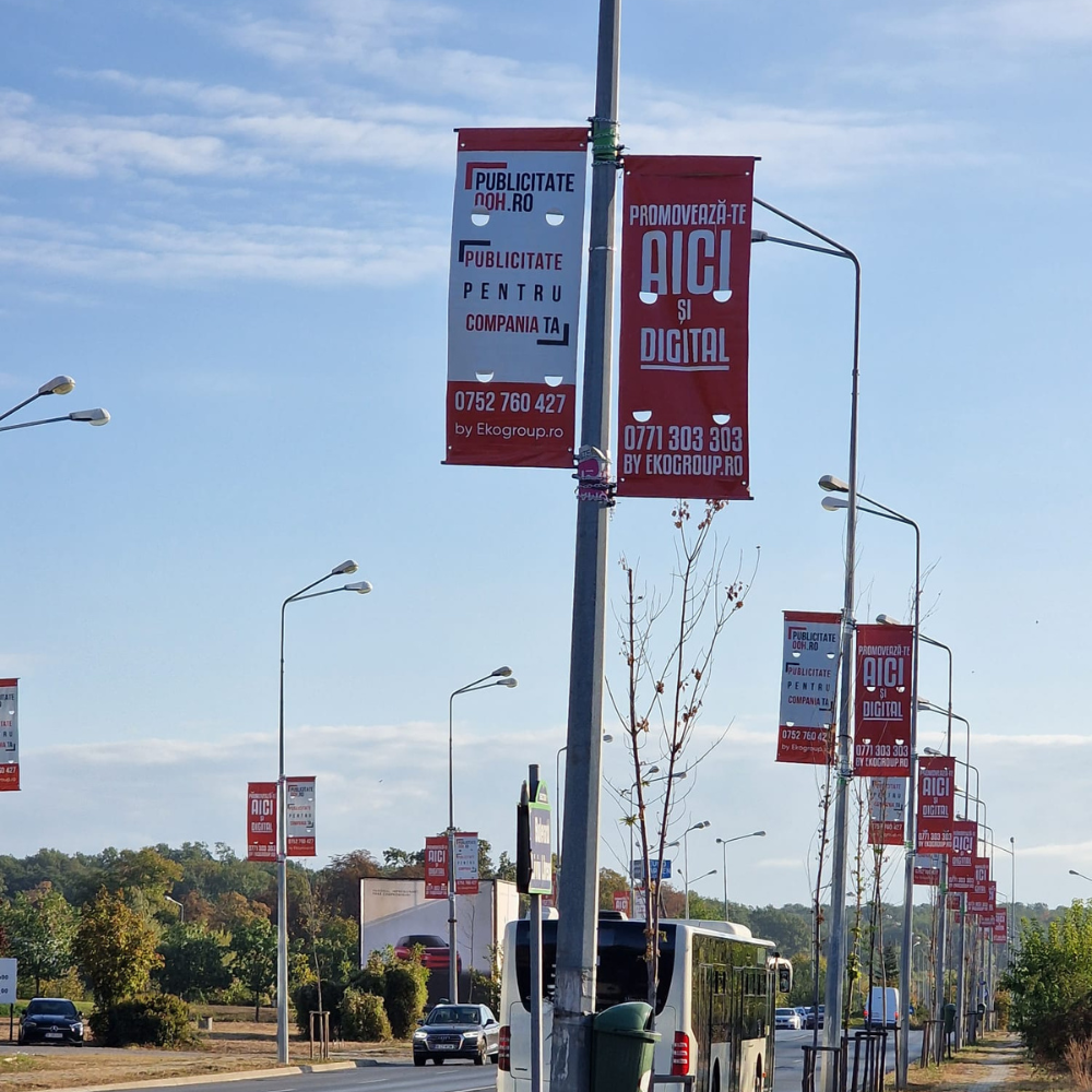 Steag directional 2