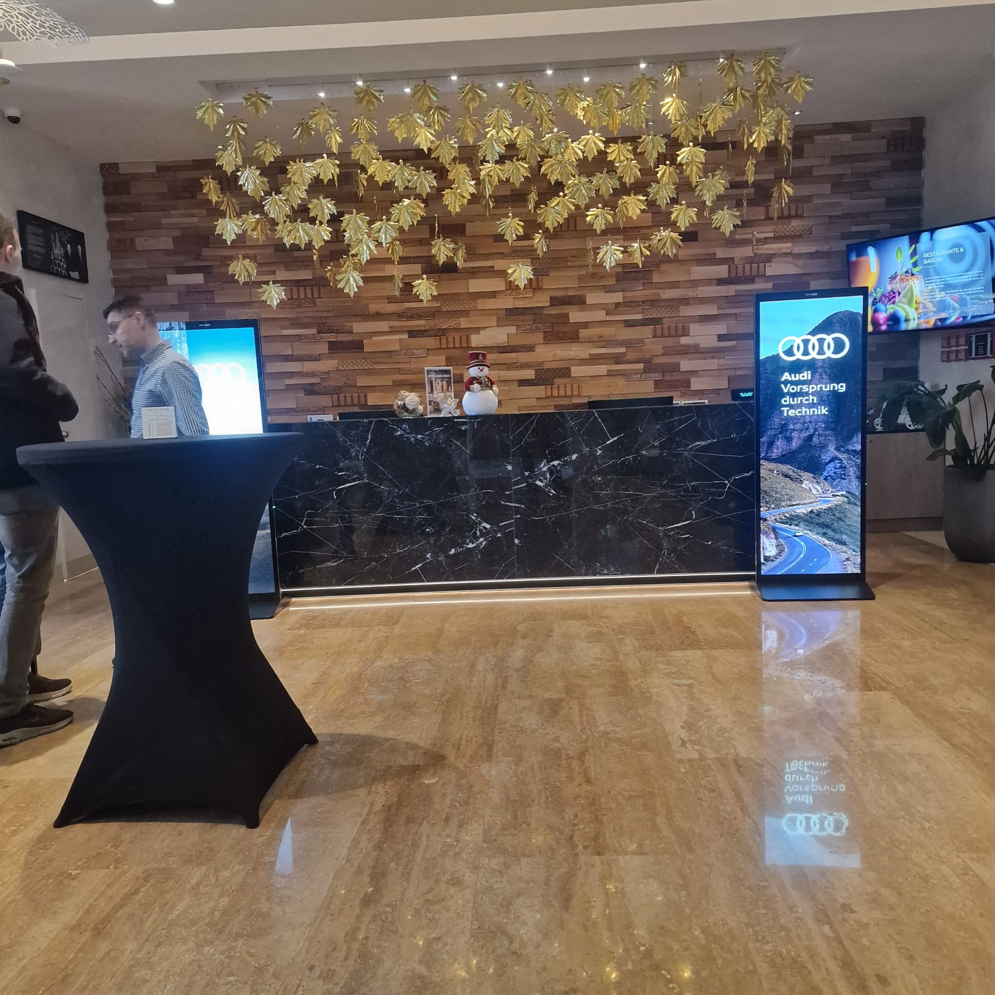 Totemuri 4K de Închiriat — foto 3