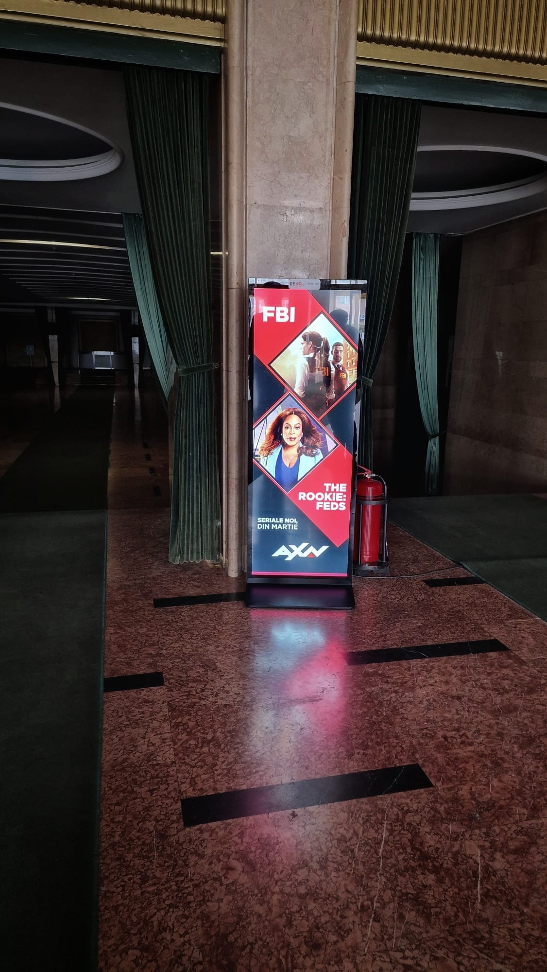 Totemuri 4K de Închiriat — foto 11